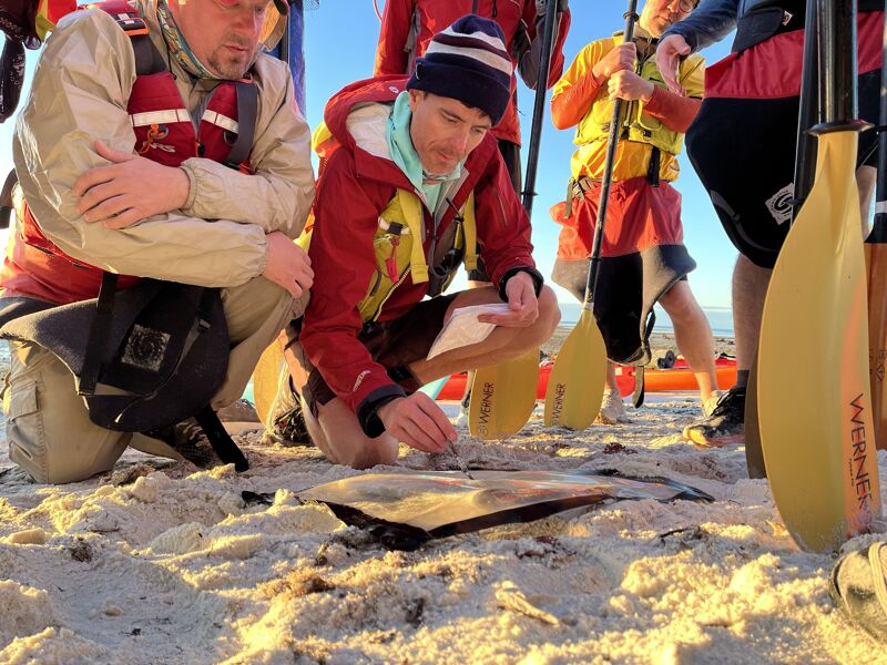 The image shows a group of people on a sandy beach, likely preparing for a kayaking trip. They are gathered around something on the sand, possibly a map or equipment. Some are wearing life vests and warm clothing, suggesting a cool environment. Kayaks and paddles are visible, indicating the activity they are about to undertake.